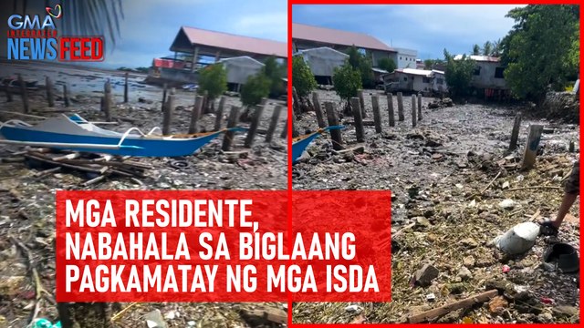 Mga residente, nabahala sa biglaang pagkamatay ng mga isda | GMA Integrated Newsfeed