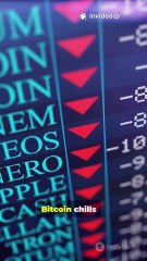BTC Stalls. ETH/DOGE/XRP Rip. What’s Next?