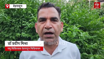 दीपावली से पहले उल्लुओं की तस्करी, हाई अलर्ट पर वन विभाग, बढ़ाई गई निगरानी