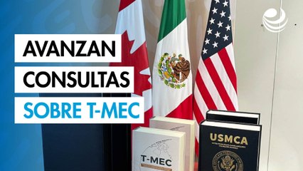 Avanzan consultas sobre T-MEC entre sectores y en los estados