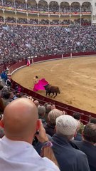 Despedida al torero Morante de la Puebla