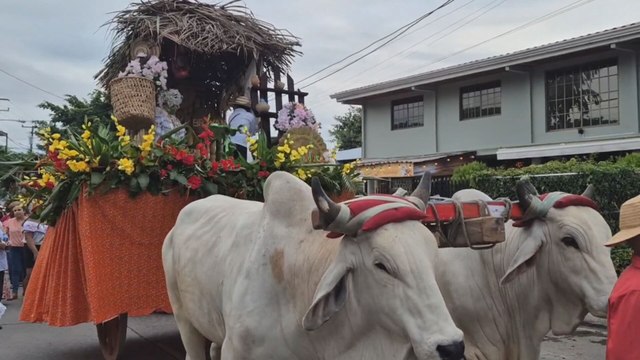 Desfile folclórico en Penonomé exalta la riqueza cultural y campesina de Coclé