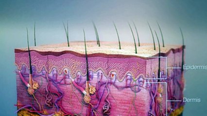 Impetigo: Cream or Pill? What Really Works Best