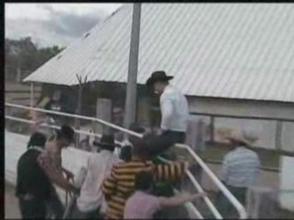 Journée country 9