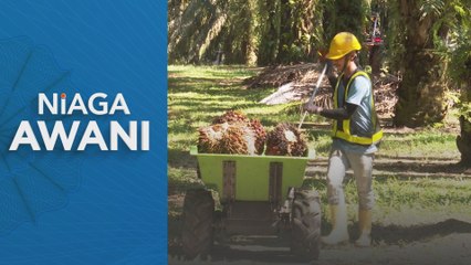 Niaga Hadapan MSM dijangka meningkat minggu ini