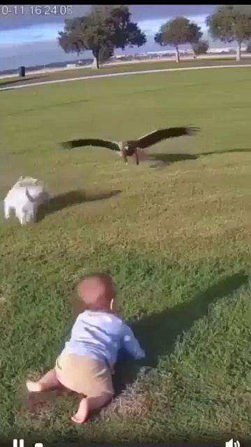 Village Life