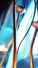 This Adorable Baby’s Thoughts Are Audible—And She Outsmarts Every Villain in the Palace