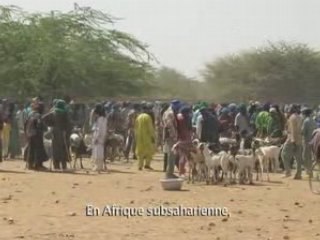 Des Toits de Terre au Sahel