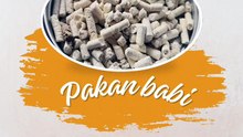 Jual Pakan Babi Selemadeg Tabanan, Call. 0817 4778 544, PEMASOK…!!