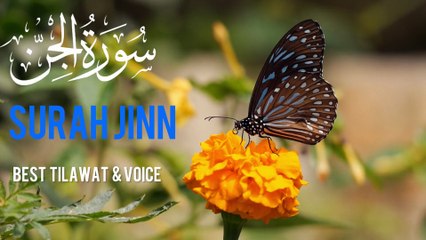 Surah jinn /  	 different surahs of the quran