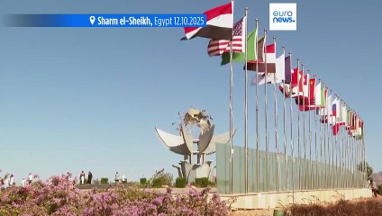 Latest news bulletin | October 13th, 2025 – Morning