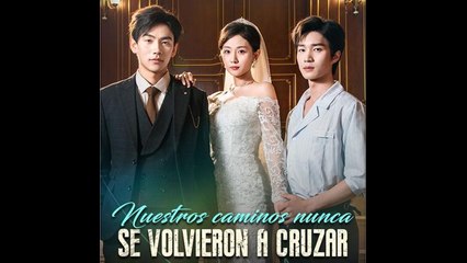 Nuestros caminos nunca se volvieron a cruzar en Español