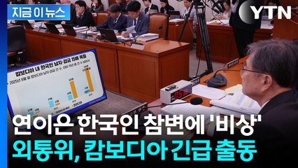 캄보디아 참변 잇따르자 '비상'...외통위, 현지서 직접 국감 강행 [지금이뉴스] / YTN