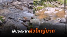 สาวเที่ยวน้ำตกถึงกับขนลุกซู่ เมื่อเจอเจ้าถิ่นนอนแช่น้ำฉ่ำ