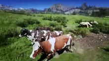 Terrifying Chase 4 Cows Hunted by Hungry White Crocs