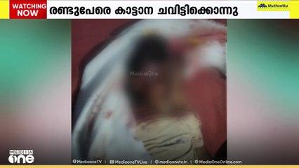 തമിഴ്നാട് വാൽപ്പാറയിൽ  മുത്തശ്ശിയെയും പേരക്കുട്ടിയെയും  കാട്ടാന ചവിട്ടി കൊന്നു