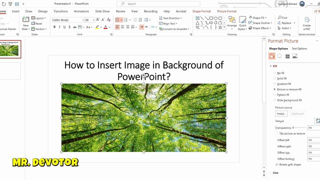 Insert Image as Background in PowerPoint | Professional Slide Design