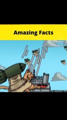 Story of Aerocycle  #shorts  #FactBeast - Fact Beast901