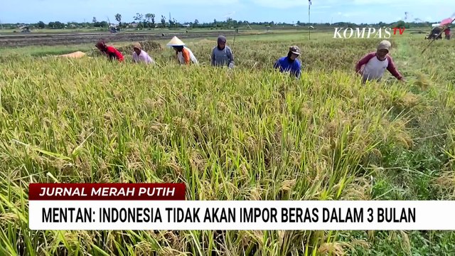 Mentan Targetkan Indonesia Tak Impor Beras dalam 3 Bulan, Cetak 3 Juta Hektar Sawah Baru | JMP