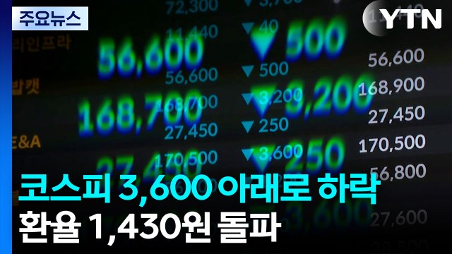 코스피 3,600 아래로 하락...환율 1,430원 돌파 / YTN