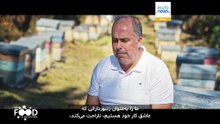 The Food Detectives: چطور عسل تقلبی را تشخیص دهیم؟