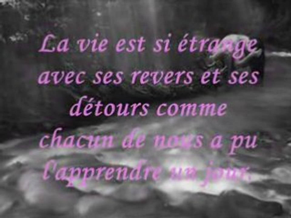 N'abandonne jamais