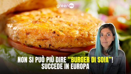 Non si può più dire "burger di soia"! Succede in Europa