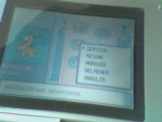 Pokémon perle Action Replay