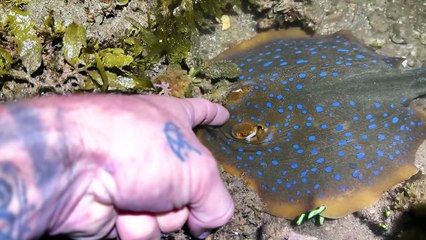 4 Days Boat Camping - Exploring For Sea Creatures