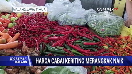 Harga Cabai Keriting Merangkak Naik