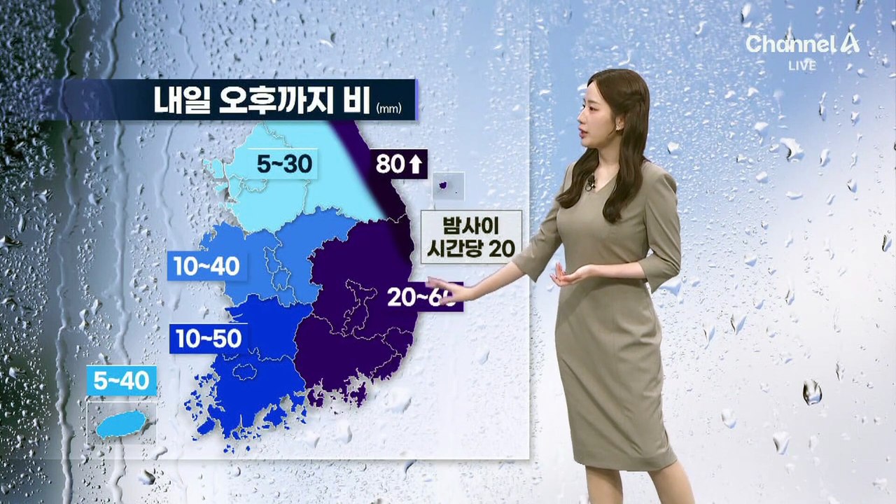 [날씨]동해안 최대 80mm↑ 비…한낮 20도 웃돌아