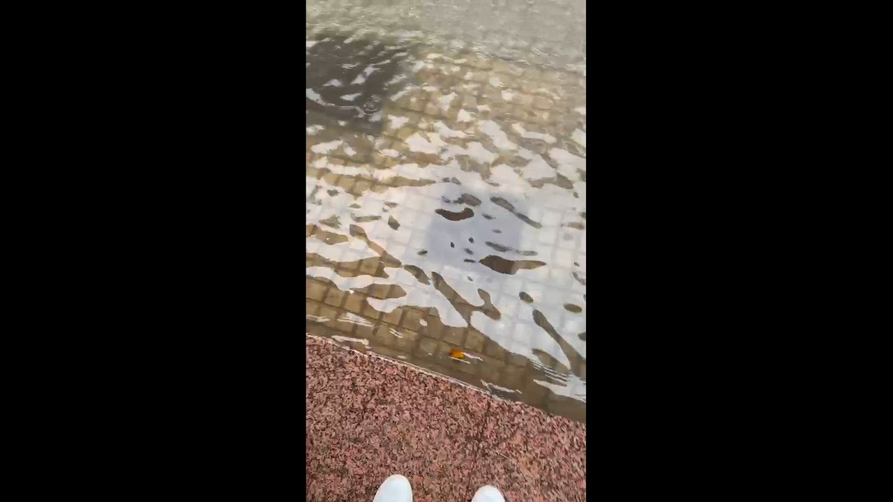 Alerta roja en La Safor