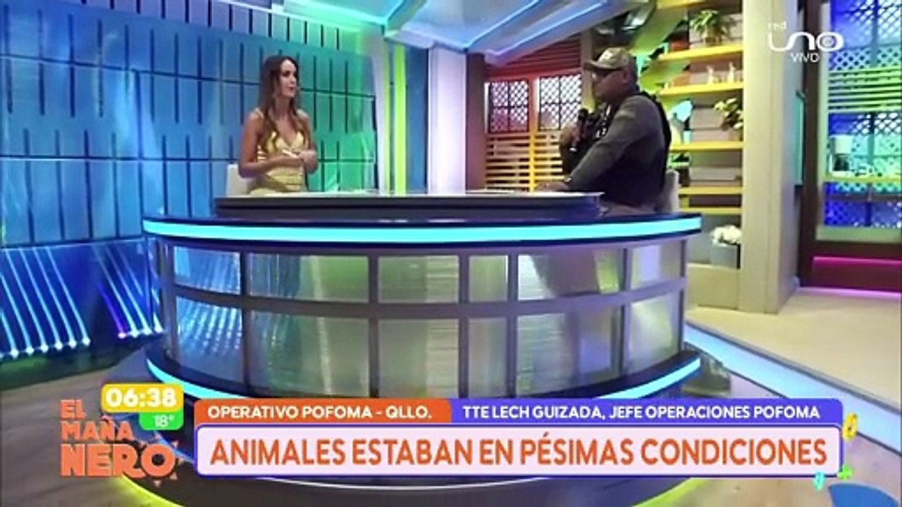 Allanaron un domicilio en Quillacollo y decomisaron erizos, canes, gatos y conejos