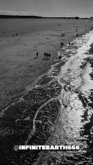 can we fall in love again