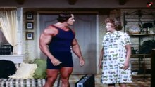 HAPPY ANNIVERSARY and GOODBYE - Lucille Ball, Art Carney, Nanette Fabray, Peter Marshall, Arnold Schwarzenegger, Don Porter, Patricia Blair, Louisa Moritz