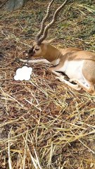 Do you also think too much? 😂