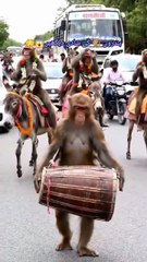 New funny comedy videos,funny days,New funniest co