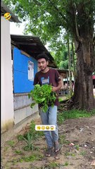 New funny comedy videos,funny days,New funniest co