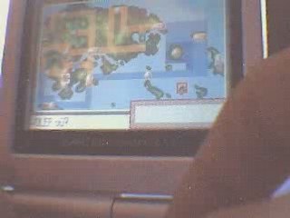 pokemon naze saphir maxence