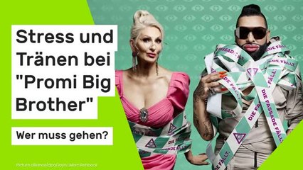 Der erste Rauswurf: Stress und Tränen bei "Promi Big Brother" - wer muss gehen?