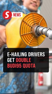 Budi95 quota for e-hailing drivers doubled to 600l per month, says Finance Ministry