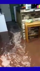¡Auxilio!: el grito de una mujer con discapacidad mientras se le metía el agua a su casa