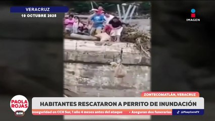Muere policía en Veracruz al rescatar a una familia  | DPC con Paola Rojas