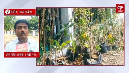 पक्षियों की चहचहाहट से गूंजेगा शहर, बन रहा ऐसा बर्ड पार्क जहां इंसानों की नहीं रहेगी एंट्री