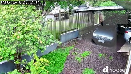 Motorista joga caminhão sem freio em árvore e evita tragédia no Periolo