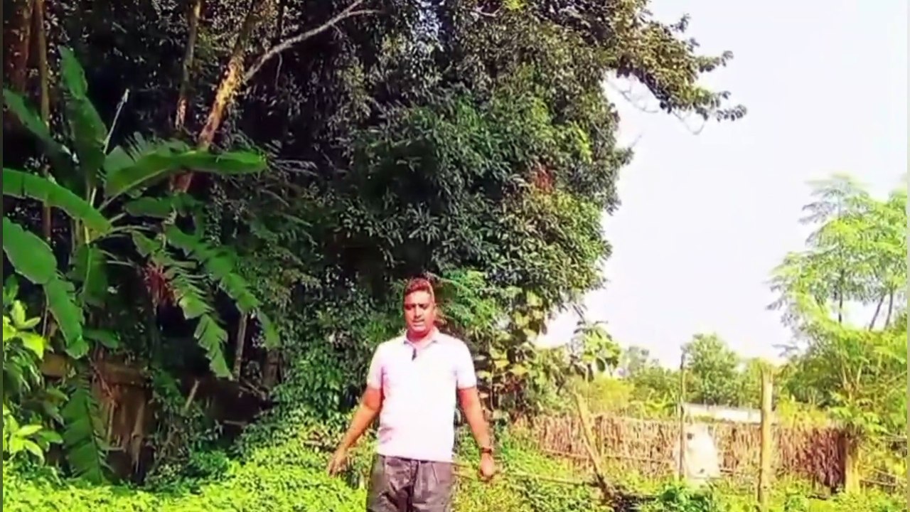 দুর্বলতা কাটাতে যে ৫টি খাবার খাবেন Learning Time BD