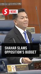 Backbenchers chief hits out at Hamzah’s ‘fact-free’ Opposition budget