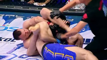 Top MMA Submissions 2025 Part 10/11 — Best Fight Finishes & Tapouts (May Highlights)