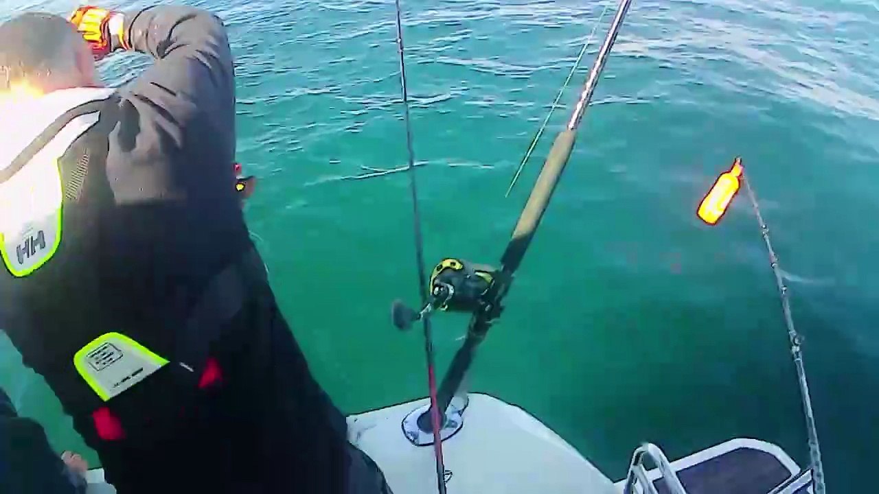 Angler lands “prehistoric” deep-sea wreckfish rarely seen by humans