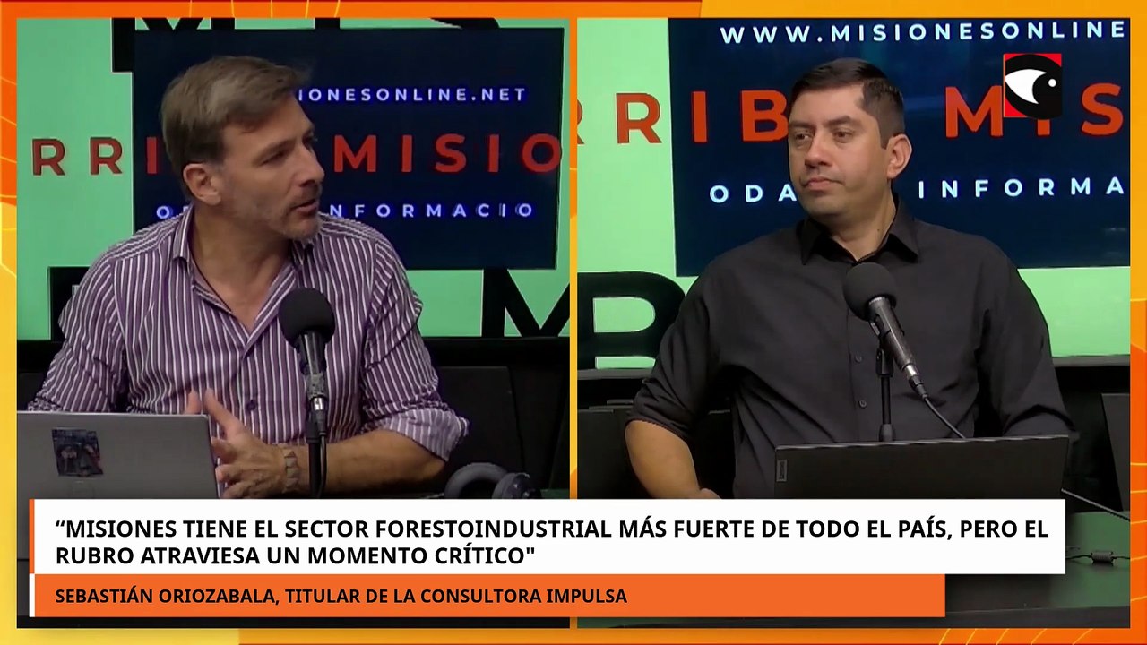 Misiones tiene el sector forestoindustrial más fuerte de todo el país, pero atraviesa un crisis